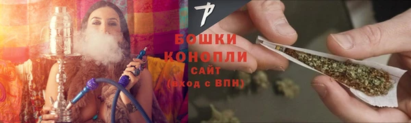 ПСИЛОЦИБИНОВЫЕ ГРИБЫ Алзамай