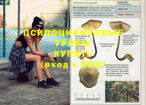 ПСИЛОЦИБИНОВЫЕ ГРИБЫ Алзамай