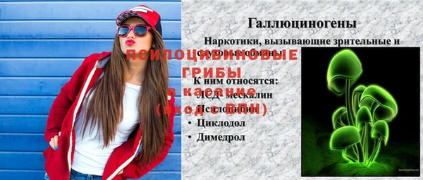 твердый Абаза