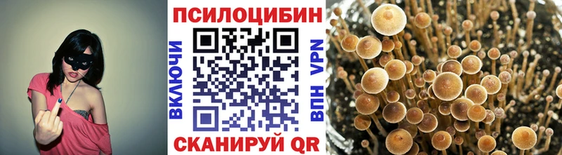 Псилоцибиновые грибы Cubensis  darknet наркотические препараты  Новосиль 